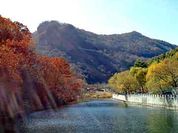 京东补单平台，解读其背景、功能及应用价值